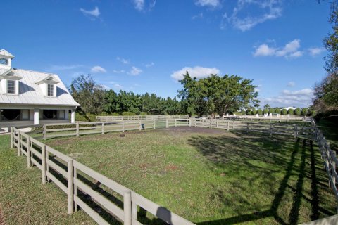 Apartment in Wellington, Florida 3 rooms, 1074.23 sq.m. № 2254416 - photo 14