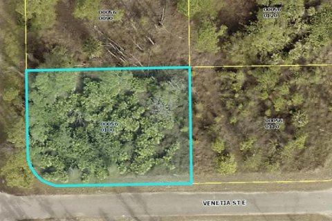 Land in Lehigh Acres, Florida № 2163309