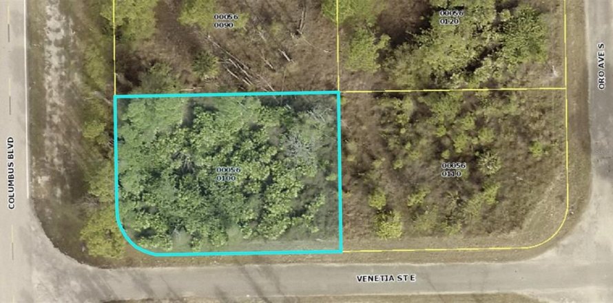 Land in Lehigh Acres, Florida № 2163309