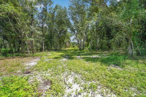 Land in Myakka City, Florida № 2410623 - photo 8