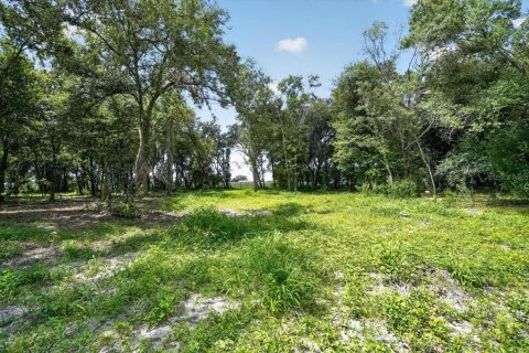 Land in Myakka City, Florida № 2410623 - photo 9