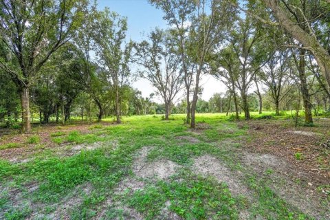 Land in Myakka City, Florida № 2410623 - photo 2