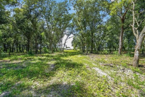 Land in Myakka City, Florida № 2410623 - photo 7