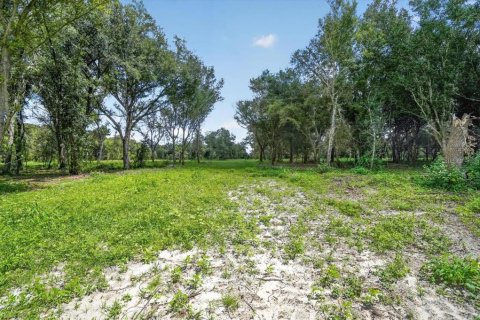 Land in Myakka City, Florida № 2410623 - photo 6
