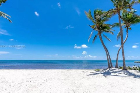 House in Islamorada, Village of Islands, Florida 4 bedrooms, 278.8 sq.m. № 1281015 - photo 20