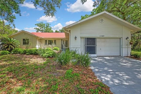 Villa ou maison à Homosassa, Floride 3 chambres, 199.46 m2 № 2195781