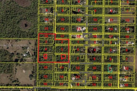 Terreno en venta en LaBelle, Florida № 1993918 - foto 7
