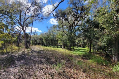 Terreno en venta en LaBelle, Florida № 1993918 - foto 2