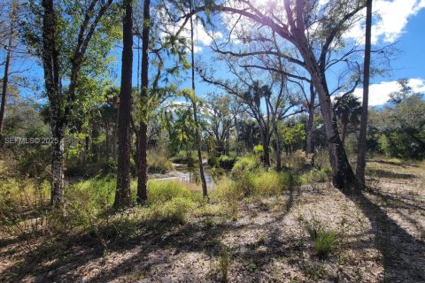 Terreno en venta en LaBelle, Florida № 1993918 - foto 3