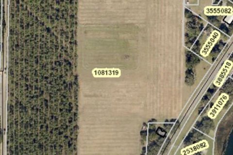 Terreno en venta en Umatilla, Florida № 1904595 - foto 3