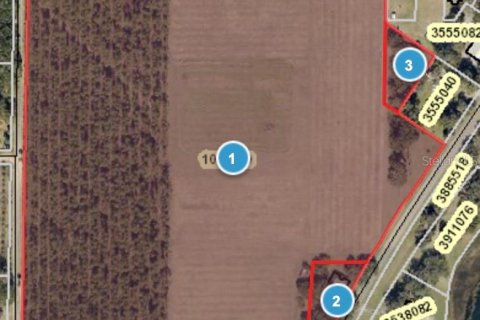 Terreno en venta en Umatilla, Florida № 1904595 - foto 2