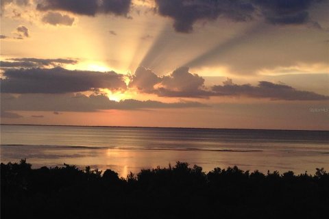 Condo in Punta Gorda, Florida, 3 bedrooms  № 243599 - photo 11