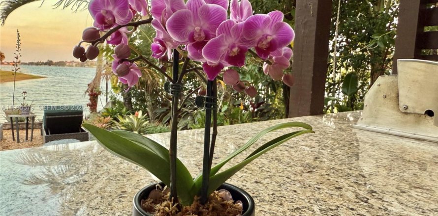 Villa ou maison à Miramar, Floride 4 chambres, 229.47 m2 № 2027296