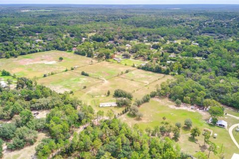 Land in Homosassa, Florida № 1274188 - photo 30