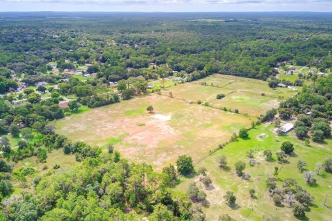 Land in Homosassa, Florida № 1274188 - photo 28