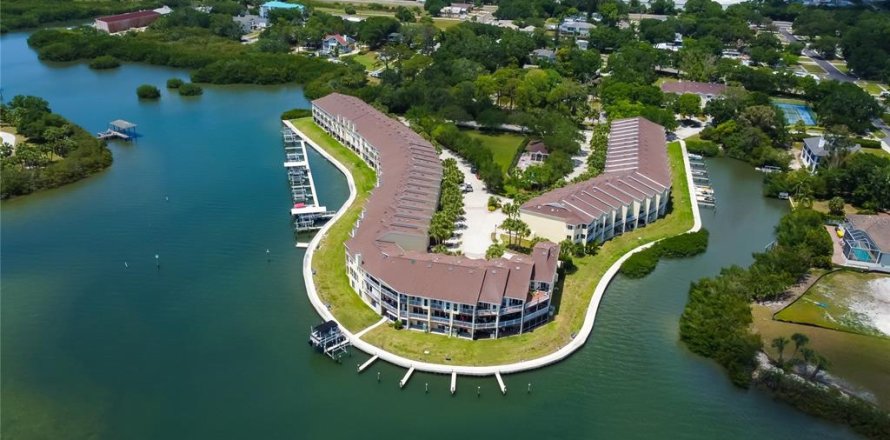 Touwnhouse à Oldsmar, Floride 3 chambres, 170.38 m2 № 1651421