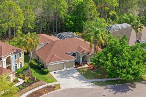 House in Lutz, Florida 4 bedrooms, 306.21 sq.m. № 2128377 - photo 2
