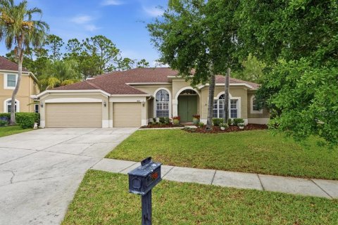 Casa en Lutz, Florida 4 dormitorios, 306.21 m2 № 2128377