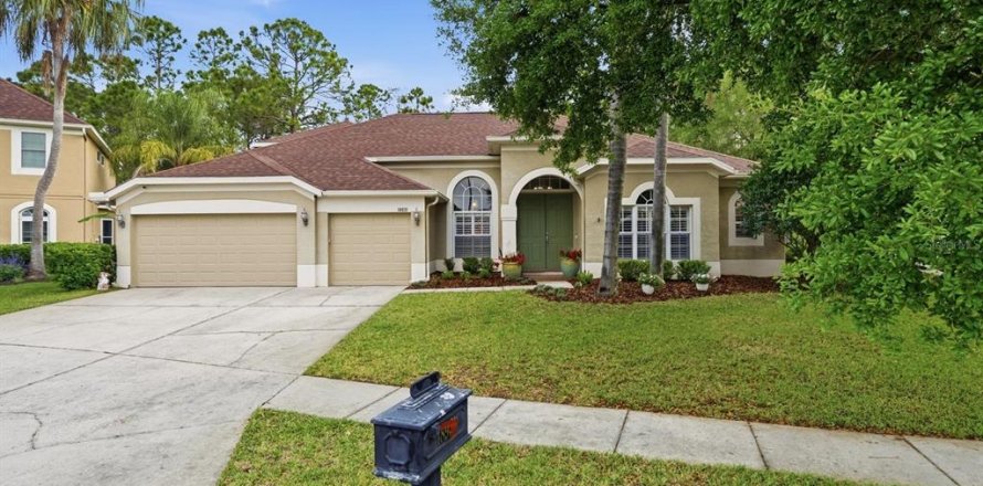 House in Lutz, Florida 4 bedrooms, 306.21 sq.m. № 2128377