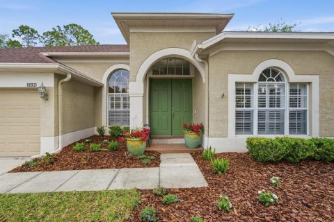 House in Lutz, Florida 4 bedrooms, 306.21 sq.m. № 2128377 - photo 5