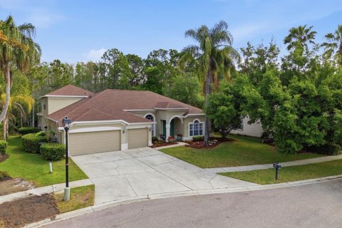 House in Lutz, Florida 4 bedrooms, 306.21 sq.m. № 2128377 - photo 4