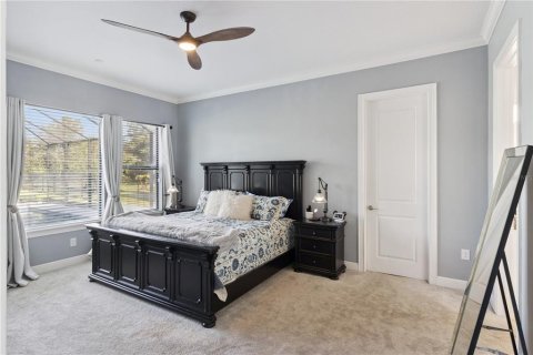 House in Tampa, Florida 6 bedrooms, 336.31 sq.m. № 2404759 - photo 19