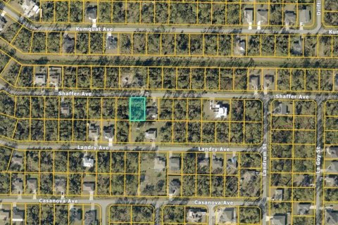 Land in North Port, Florida № 2159993 - photo 3
