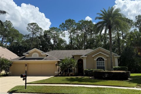 Villa ou maison à Wesley Chapel, Floride 4 chambres, 238.11 m2 № 2405474