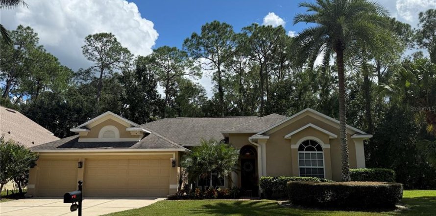 Villa ou maison à Wesley Chapel, Floride 4 chambres, 238.11 m2 № 2405474