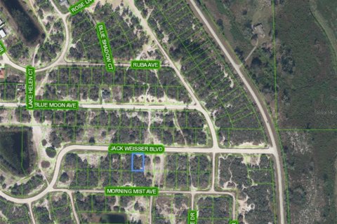 Land in Lake Placid, Florida № 2211611