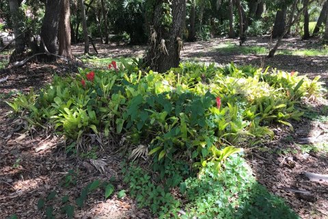 Land in Sarasota, Florida № 2097469 - photo 6