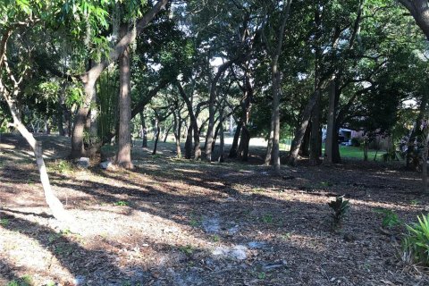 Land in Sarasota, Florida № 2097469 - photo 13