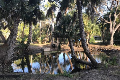Land in Sarasota, Florida № 2097469 - photo 17