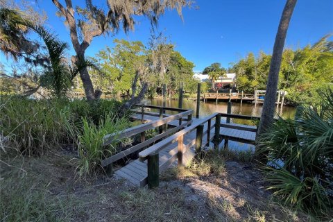 Land in Sarasota, Florida № 2097469 - photo 23