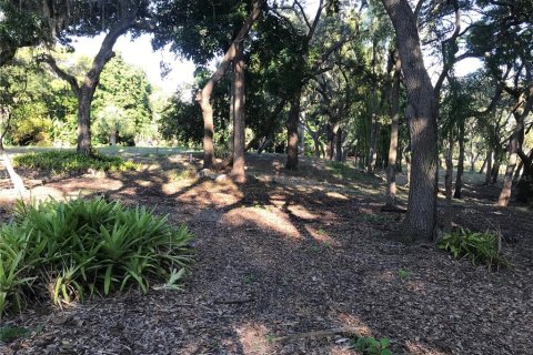 Land in Sarasota, Florida № 2097469 - photo 16