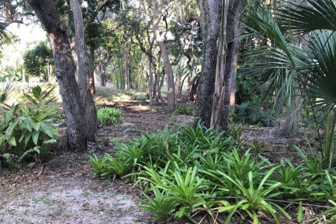 Land in Sarasota, Florida № 2097469 - photo 5