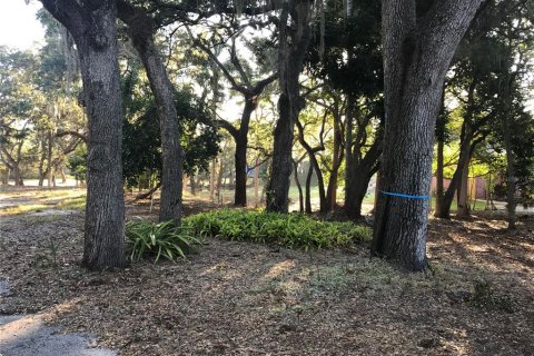 Land in Sarasota, Florida № 2097469 - photo 7