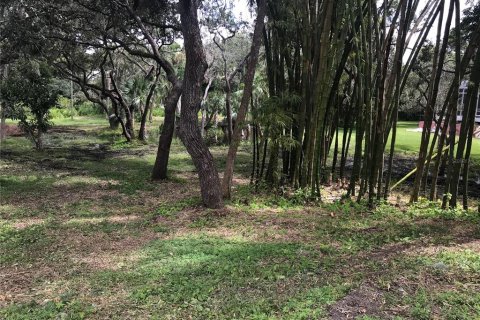 Land in Sarasota, Florida № 2097469 - photo 15
