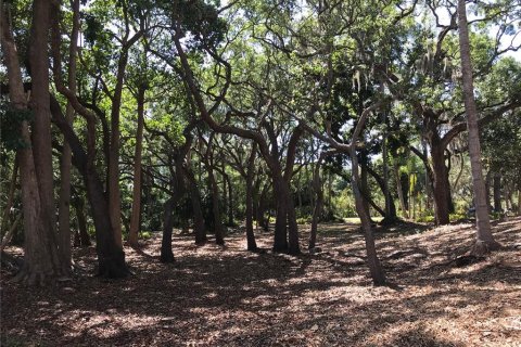 Land in Sarasota, Florida № 2097469 - photo 10