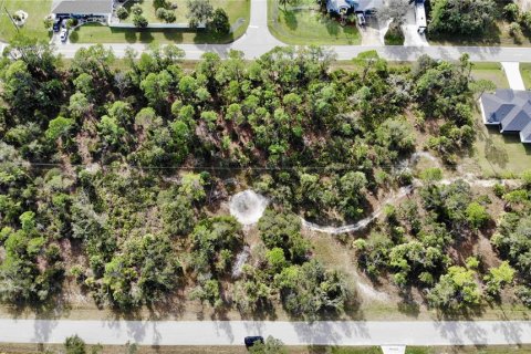 Terrain à vendre à Port Charlotte, Floride № 2161683 - photo 5