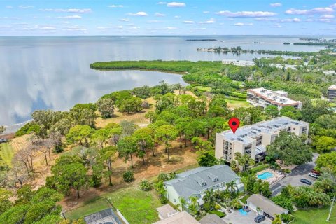 Condo in Tarpon Springs, Florida, 2 bedrooms  № 1902999 - photo 29