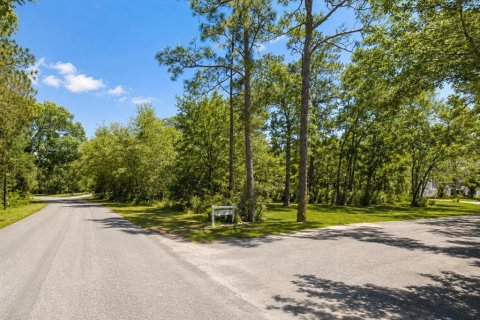 Land in Homosassa, Florida № 2223773