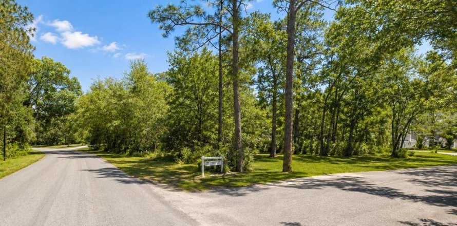 Terrain à Homosassa, Floride № 2223773