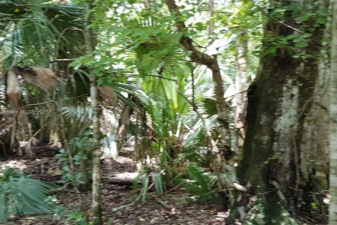 Propiedad comercial en venta en Ocala, Florida № 1981922 - foto 11