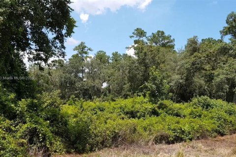 Propiedad comercial en venta en Ocala, Florida № 1981922 - foto 9