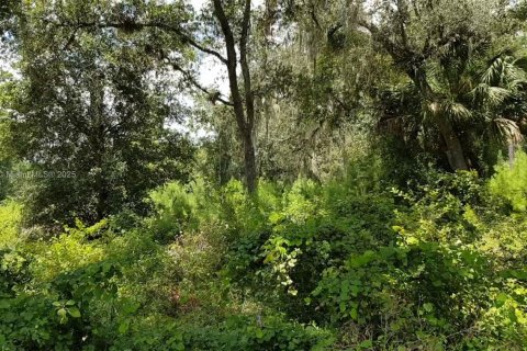 Propiedad comercial en venta en Ocala, Florida № 1981922 - foto 13