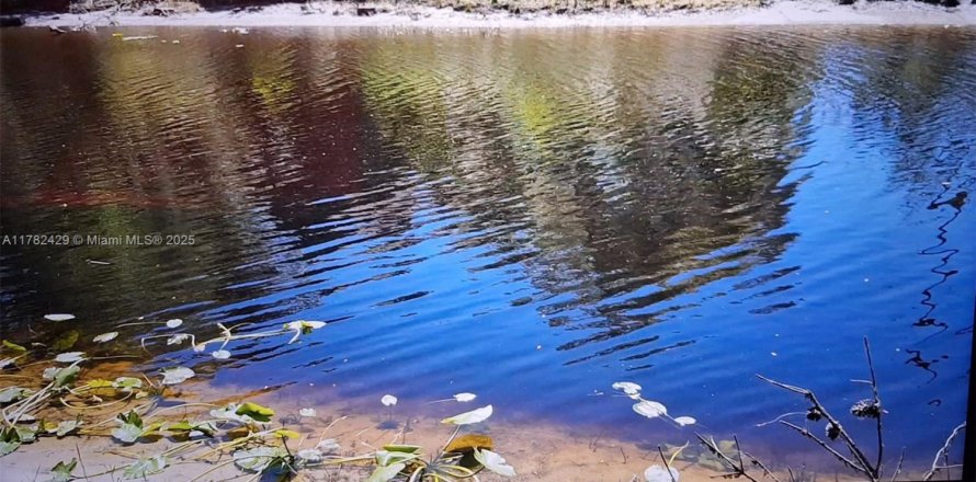 Propiedad comercial en Ocala, Florida № 1981922