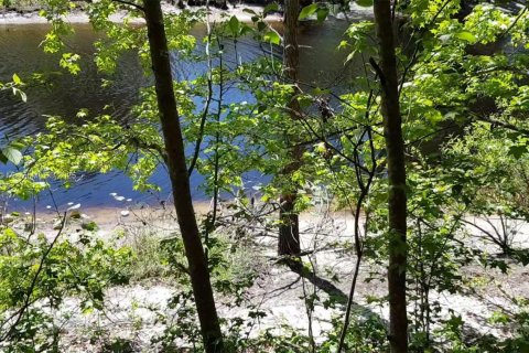 Propiedad comercial en venta en Ocala, Florida № 1981922 - foto 8