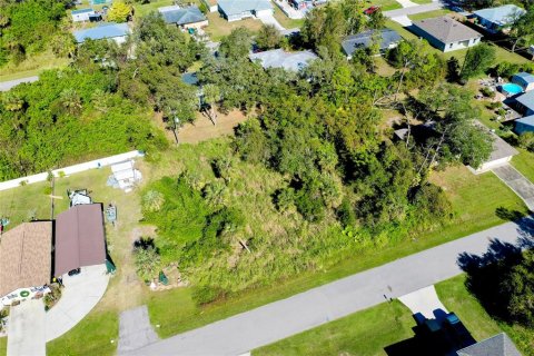Terrain à vendre à Port Charlotte, Floride № 1564724 - photo 6