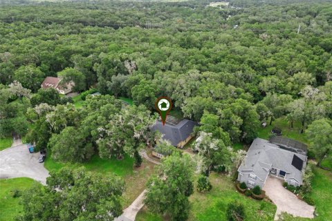 Villa ou maison à vendre à Sorrento, Floride: 4 chambres, 291.34 m2 № 2302587 - photo 8